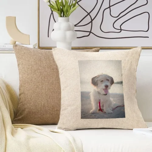 Μαξιλάρι λινό με εκτύπωση